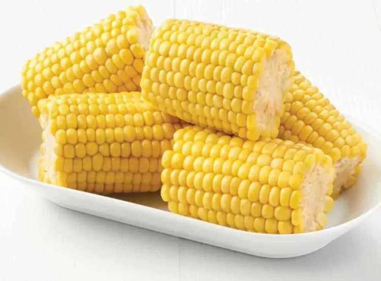 2019年5月1日全国各地玉米价格最新行情一览